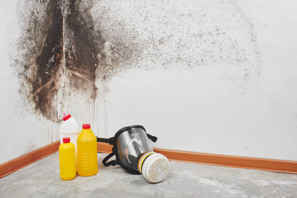 Crawl Space Mold Removal in Thompsonville, PA