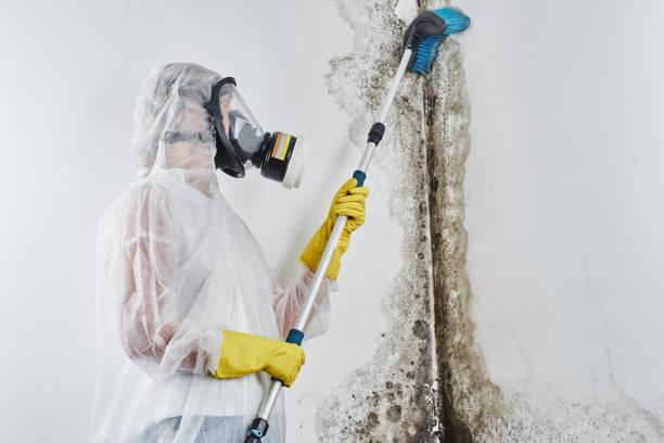 Best Water Damage Restoration  in Thompsonville, PA