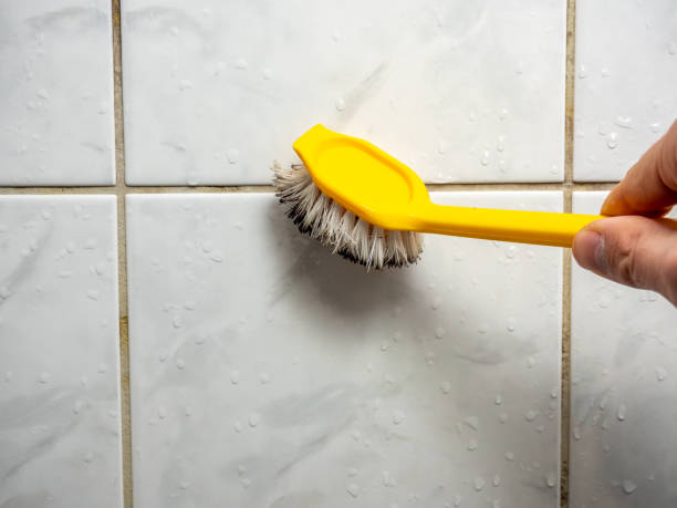 Best Same-Day Mold Removal  in Thompsonville, PA