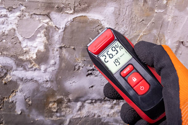Best Office Mold Removal Services  in Thompsonville, PA