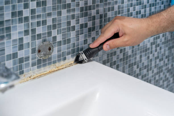 Best Fast Mold Removal  in Thompsonville, PA