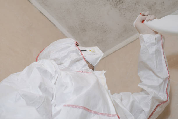 Best Home Mold Removal  in Thompsonville, PA